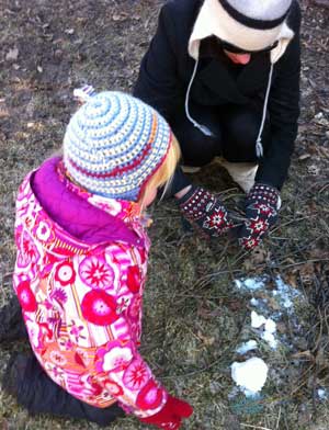 Making a bird nest 